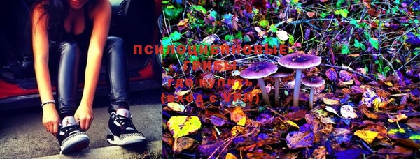 MESCALINE Няндома