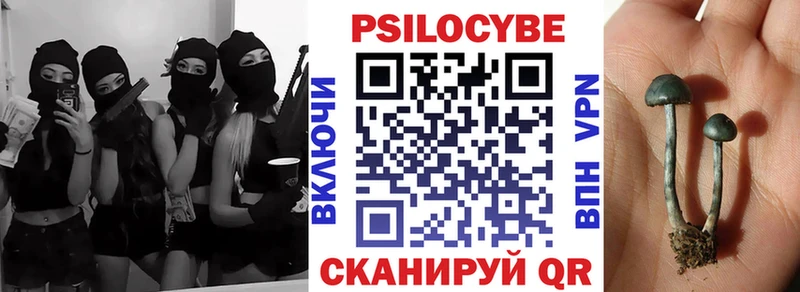 Псилоцибиновые грибы Psilocybe  дарнет шоп  Лесозаводск 